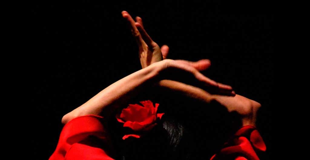 DEJA QUE EL FLAMENCO CUIDE DE TI