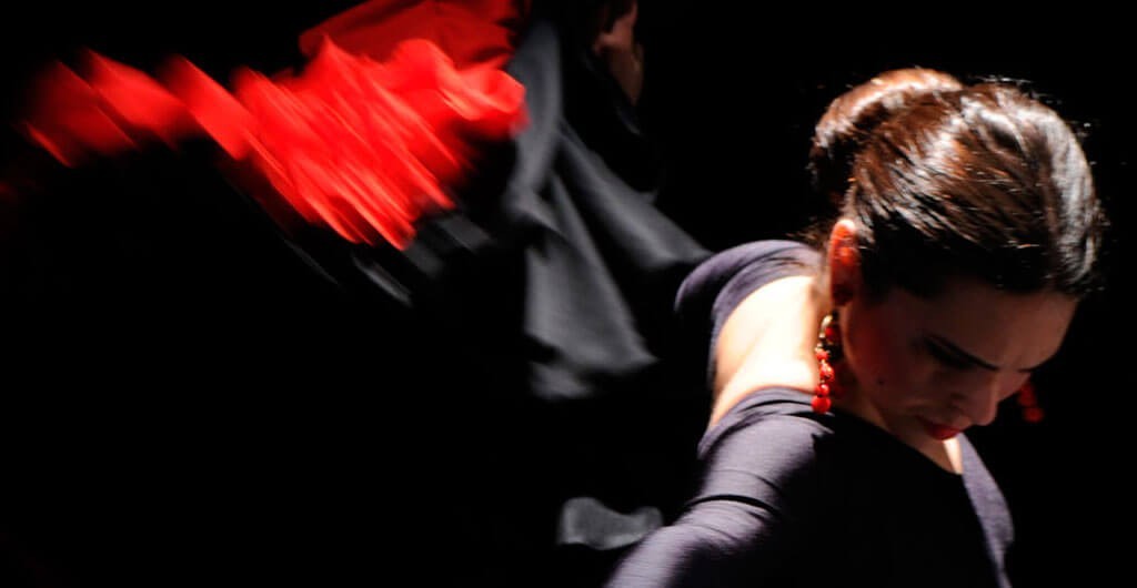 EL ZAPATO PROFESIONAL DEL BAILE FLAMENCO