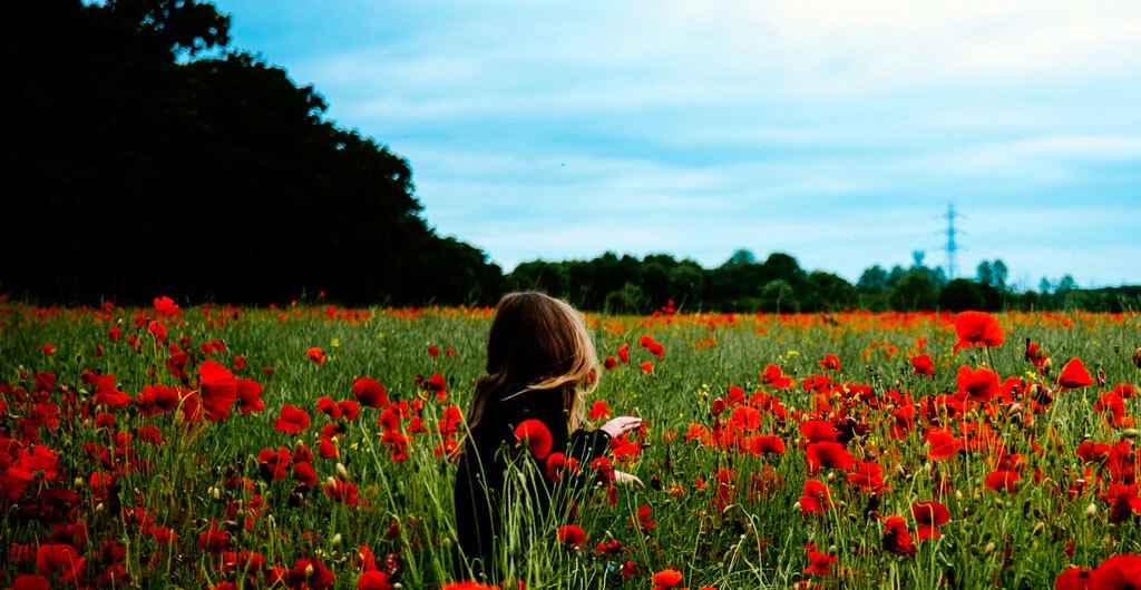 LA PRIMAVERA DESPIERTA EL FLAMENCO QUE HAY EN TI